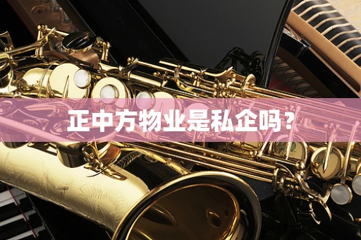 正中方物业是私企吗？