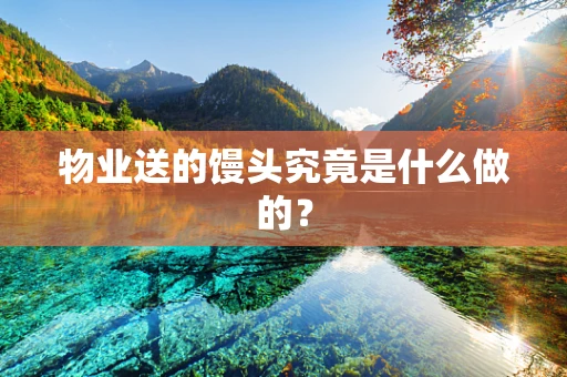 物业送的馒头究竟是什么做的？