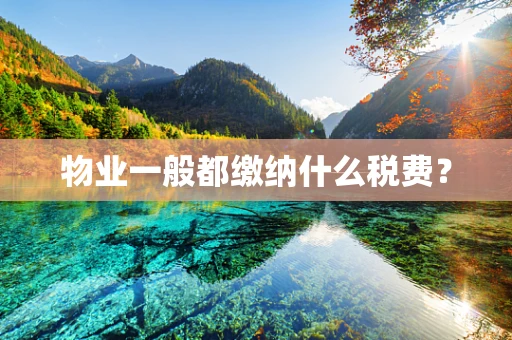 物业一般都缴纳什么税费？