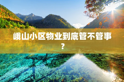 峨山小区物业到底管不管事？
