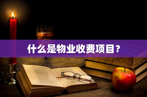 什么是物业收费项目？