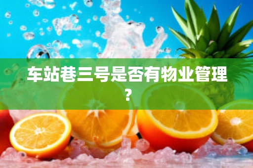 车站巷三号是否有物业管理？