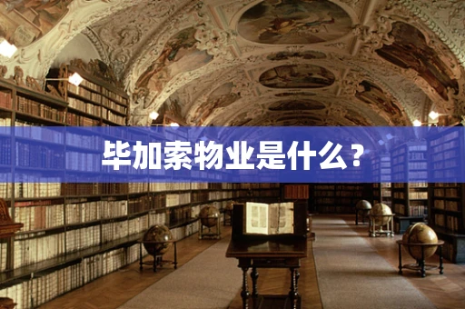 毕加索物业是什么？