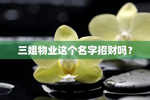 三姐物业这个名字招财吗？