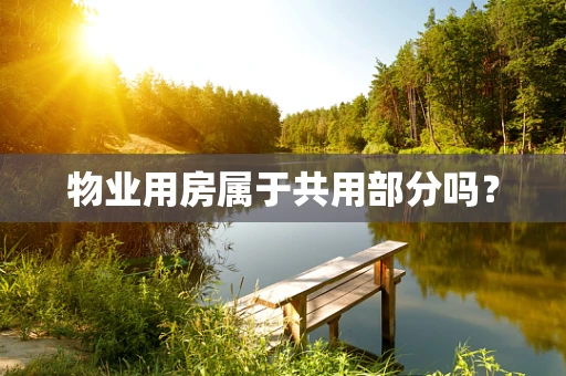 物业用房属于共用部分吗？