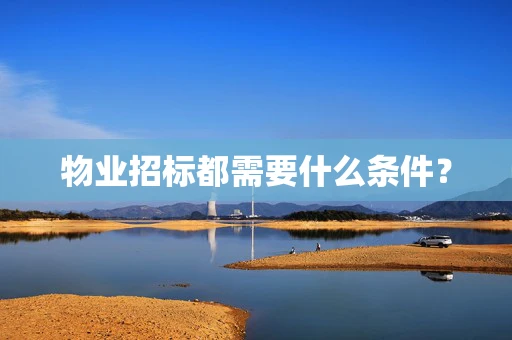 物业招标都需要什么条件？