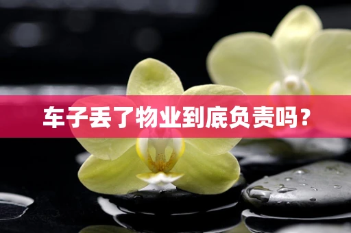 车子丢了物业到底负责吗？