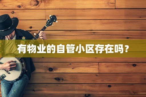 有物业的自管小区存在吗？