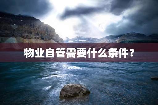 物业自管需要什么条件？