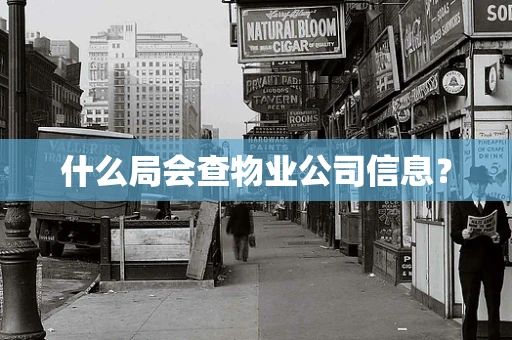什么局会查物业公司信息？