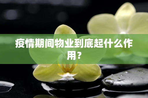 疫情期间物业到底起什么作用？