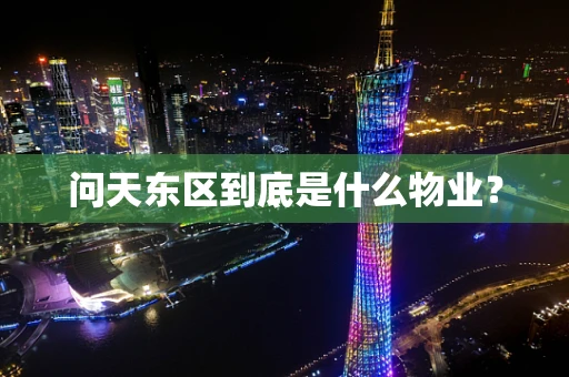 问天东区到底是什么物业？