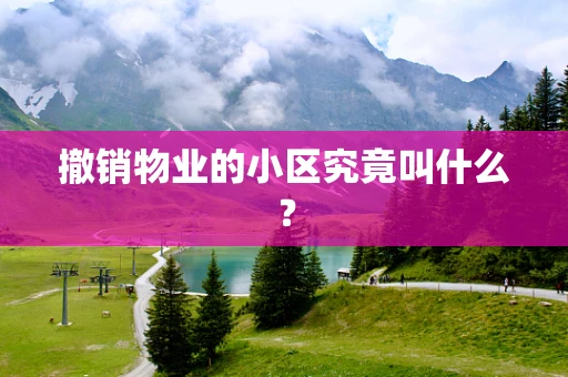 撤销物业的小区究竟叫什么？