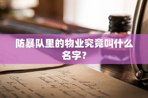 防暴队里的物业究竟叫什么名字？
