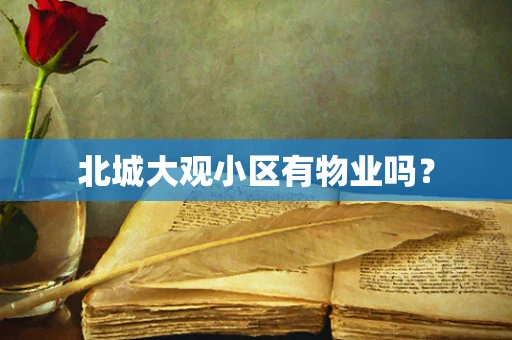 北城大观小区有物业吗？