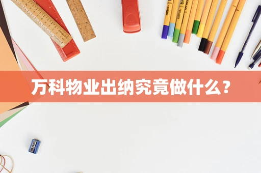 万科物业出纳究竟做什么？