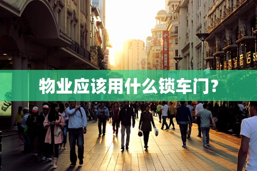 物业应该用什么锁车门？