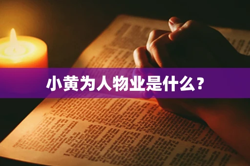 小黄为人物业是什么？