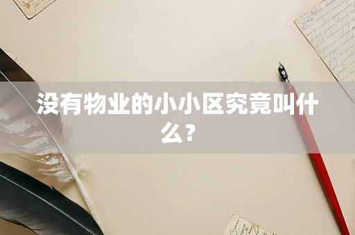 没有物业的小小区究竟叫什么？