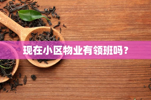 现在小区物业有领班吗？