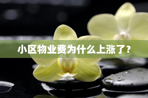 小区物业费为什么上涨了？