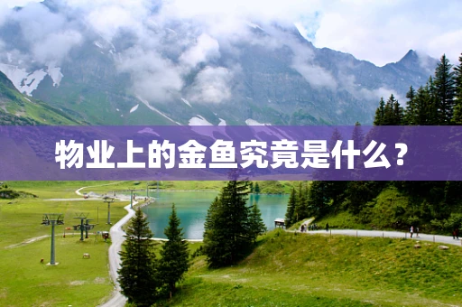 物业上的金鱼究竟是什么？