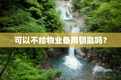 可以不给物业备用钥匙吗？