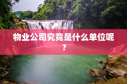物业公司究竟是什么单位呢？