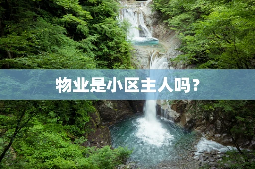 物业是小区主人吗？