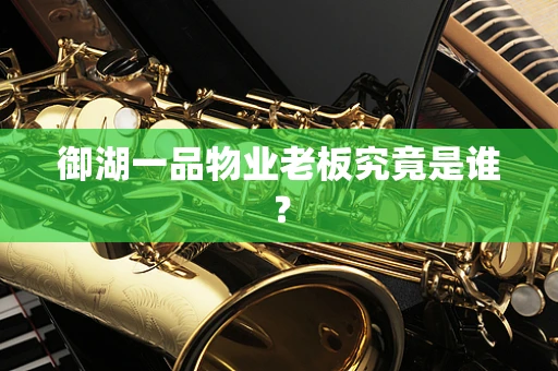 御湖一品物业老板究竟是谁？