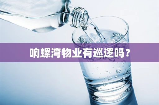 响螺湾物业有巡逻吗？