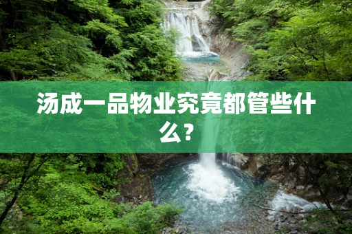 汤成一品物业究竟都管些什么？