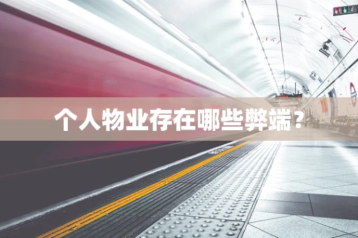 个人物业存在哪些弊端？