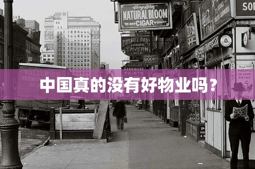 中国真的没有好物业吗？