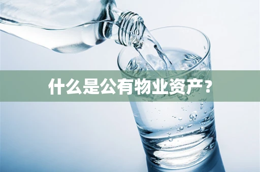 什么是公有物业资产？
