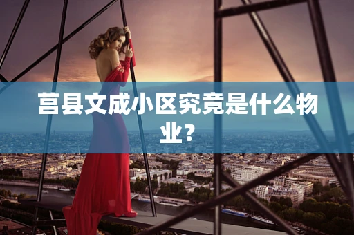 莒县文成小区究竟是什么物业？