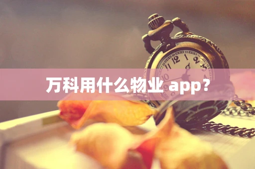 万科用什么物业 app？
