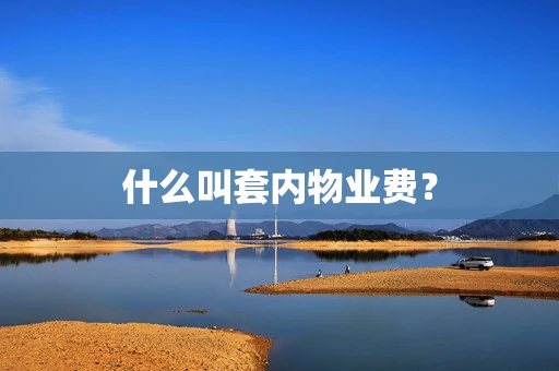 什么叫套内物业费？