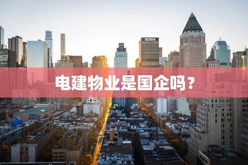 电建物业是国企吗？