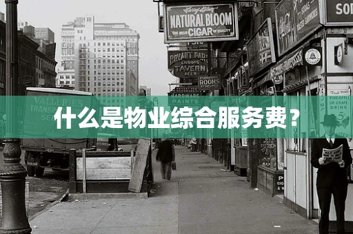 什么是物业综合服务费？
