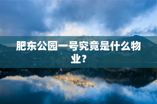 肥东公园一号究竟是什么物业？
