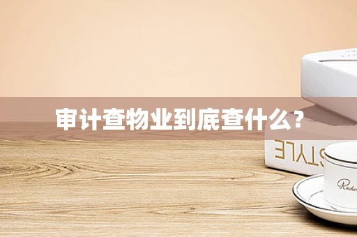 审计查物业到底查什么？