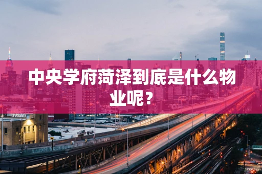 中央学府菏泽到底是什么物业呢？