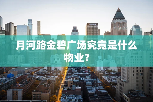 月河路金碧广场究竟是什么物业？