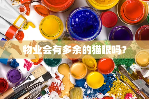 物业会有多余的猫眼吗？