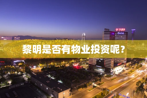 黎明是否有物业投资呢？