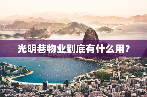 光明巷物业到底有什么用？