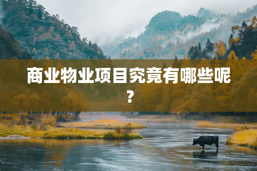 商业物业项目究竟有哪些呢？
