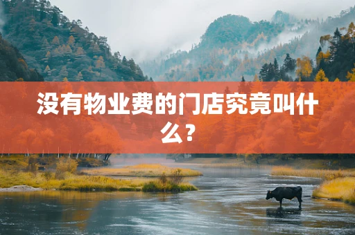 没有物业费的门店究竟叫什么？