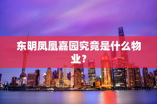 东明凤凰嘉园究竟是什么物业？